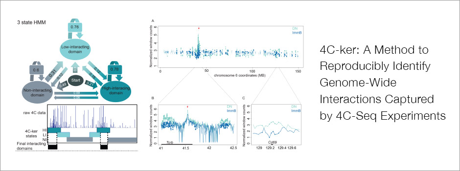4C-ker method diagram: a three-state hidden Markov model applied to 4C-seq data.